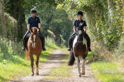 Pair of horses and riders walking along a leafy farm track on a summer day