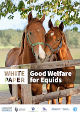 Home - World Horse Welfare